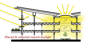Sustainability 2